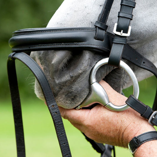 Consult bit- & bridle fitting